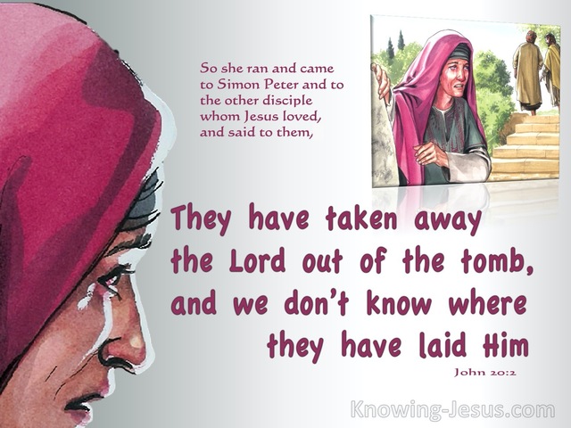 John 20:2 Mary Ran To Simon Peter And The Other Disciple (pink)